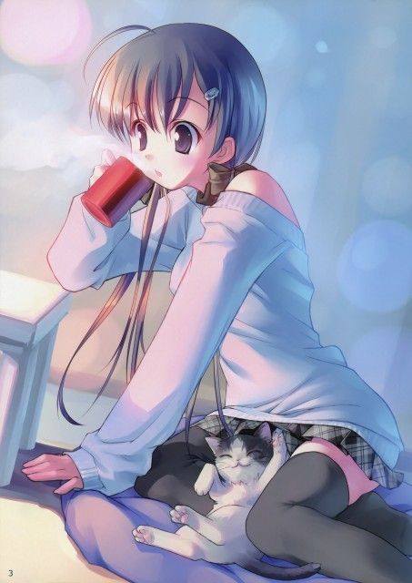 manga et chat