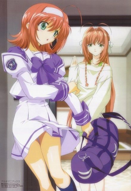 kimiga nozomu eien