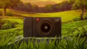 koba2545454isa.gif