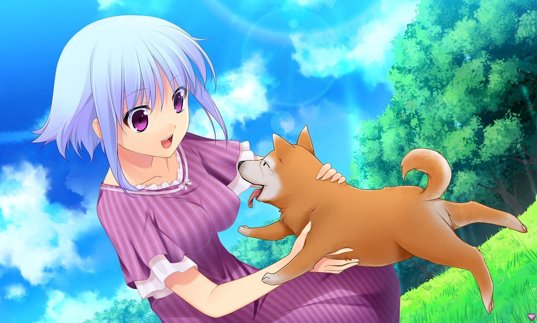 manga et chien